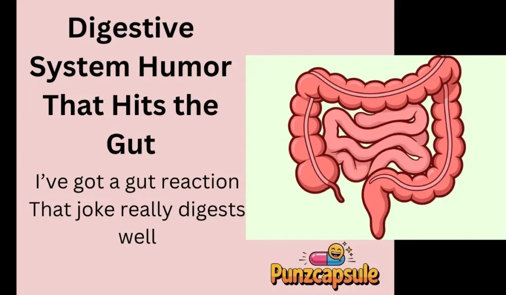 Digestive System Humor That Hits the Gut