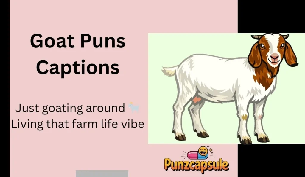 Goat Puns Captions