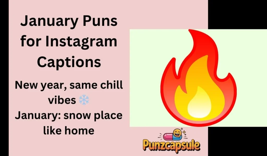 January Puns for Instagram Captions
