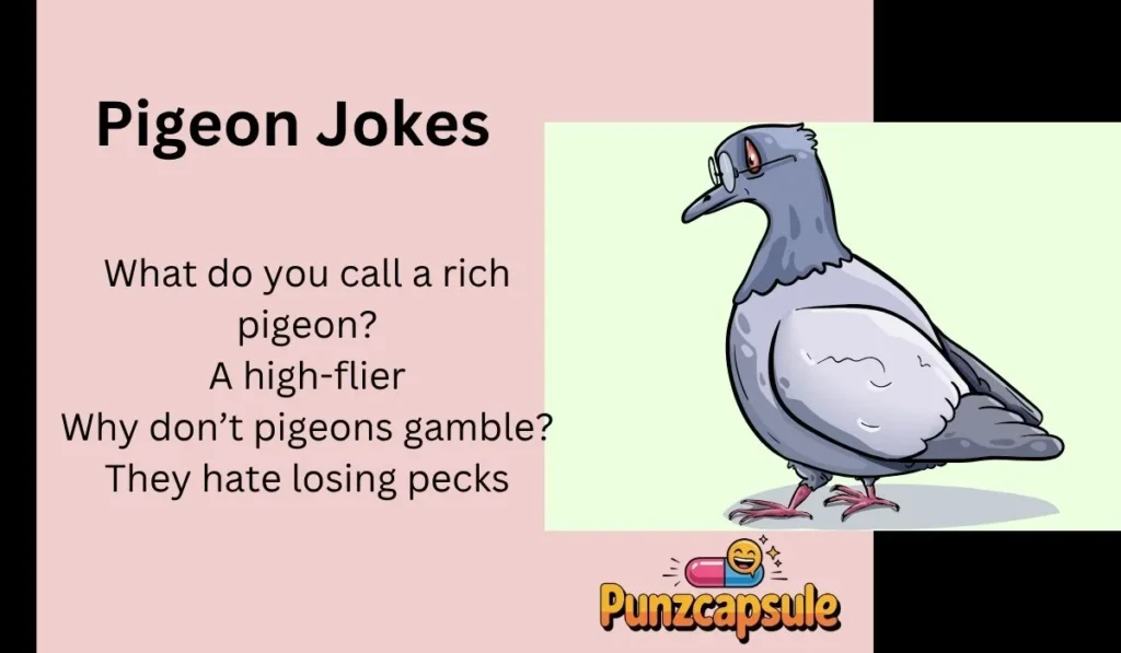 Pigeon Jokes