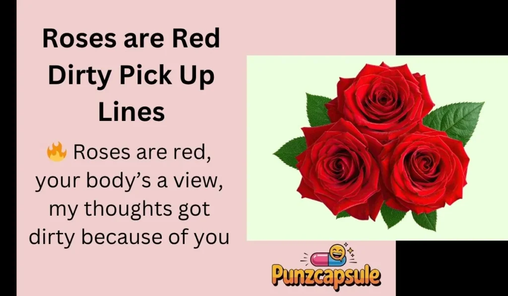 Roses are Red Dirty Pick Up Lines