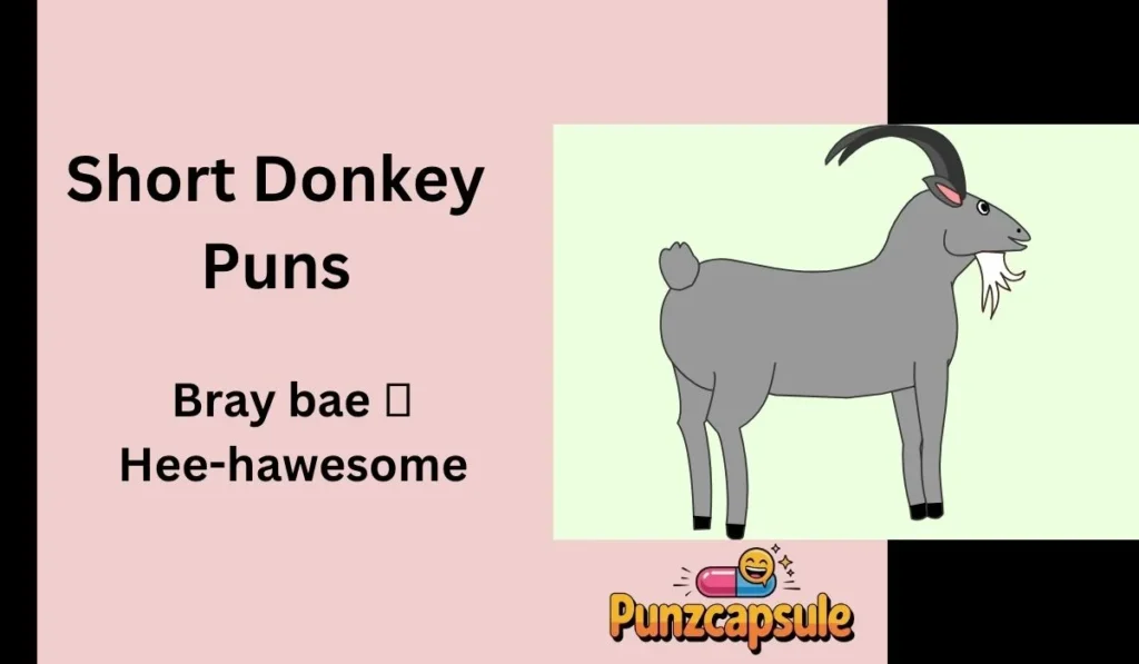 Short Donkey Puns