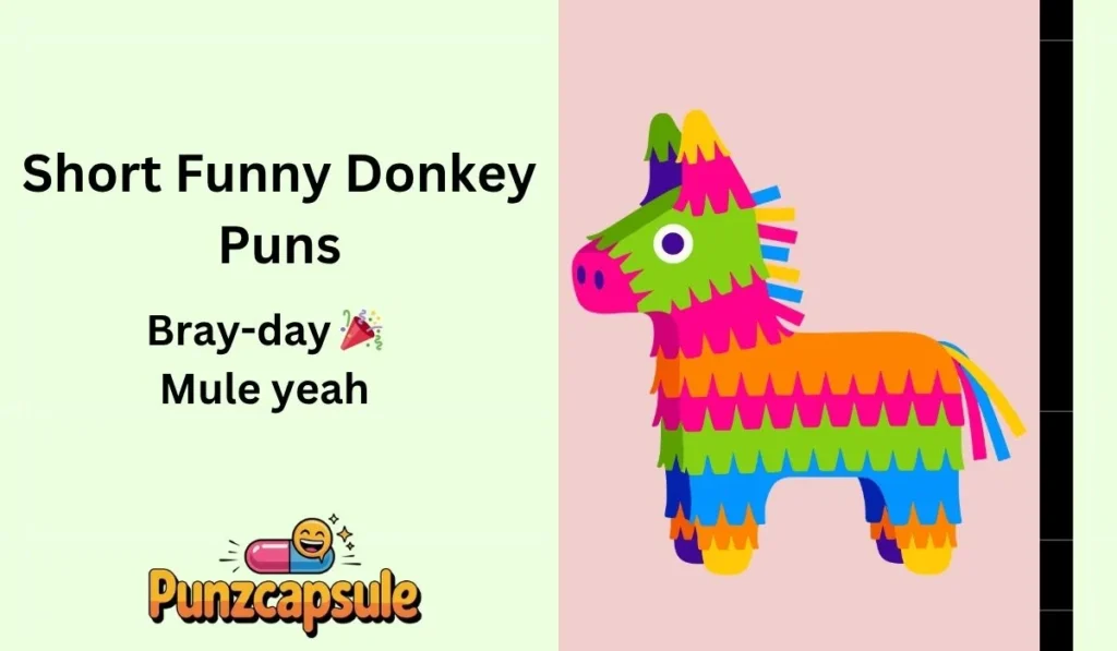 Short Funny Donkey Puns