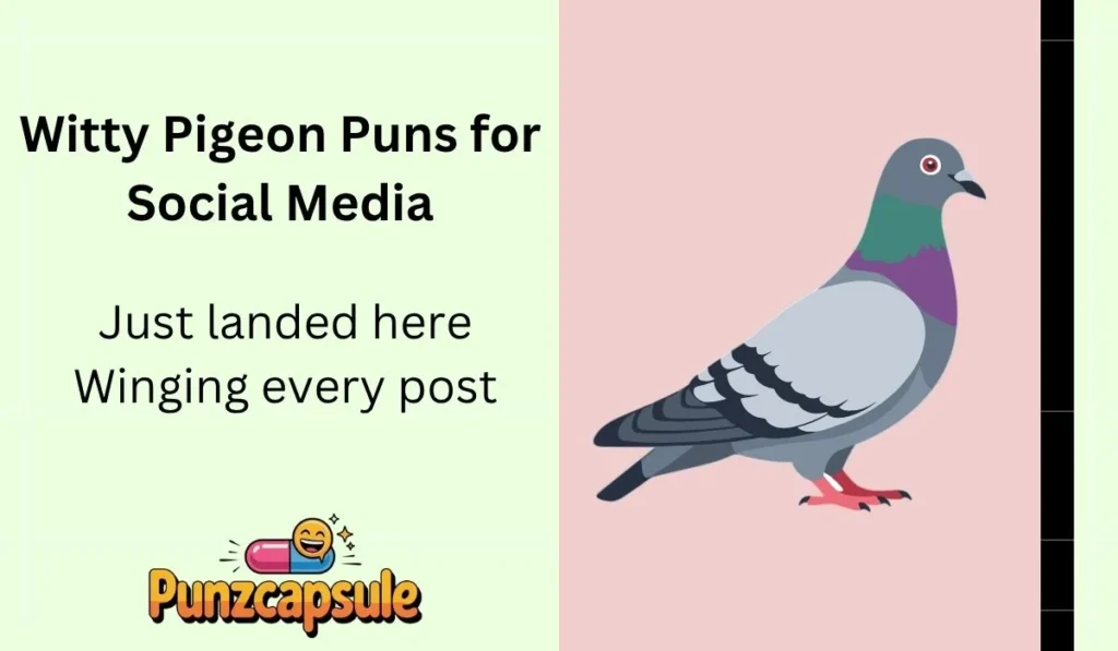 Witty Pigeon Puns for Social Media