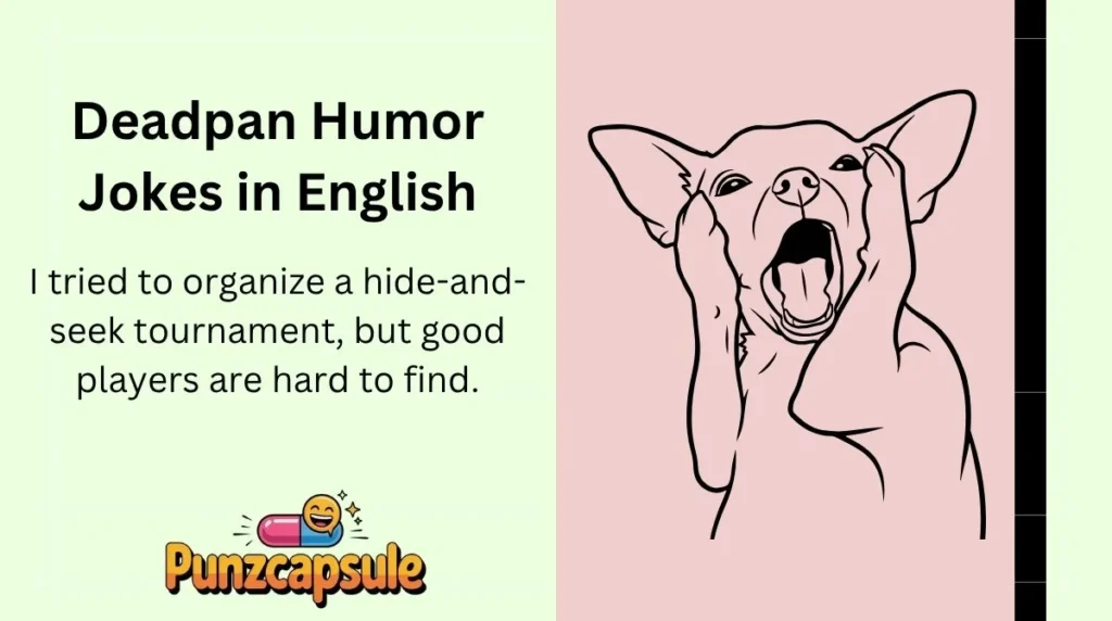 Deadpan Humor Jokes in English