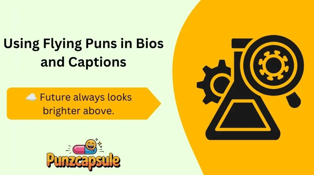 Using Flying Puns in Bios and Captions