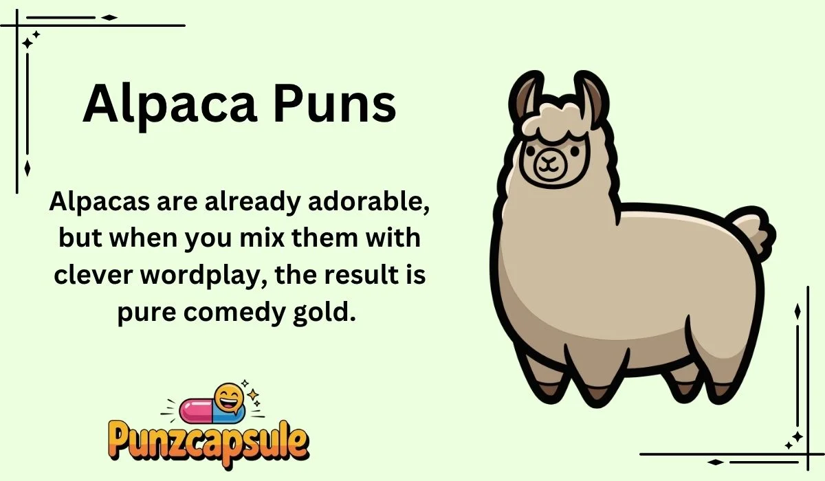 Alpaca Puns