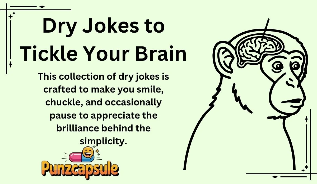 Dry Jokes to Tickle Your Brain