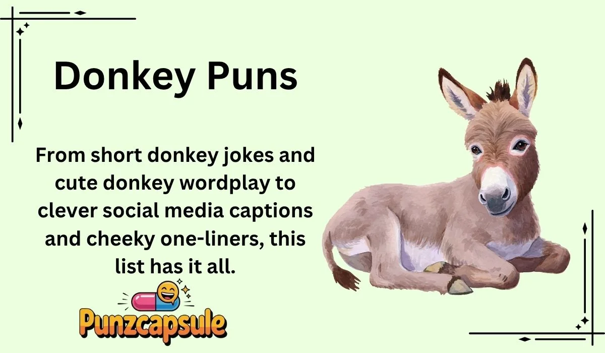 Donkey Puns