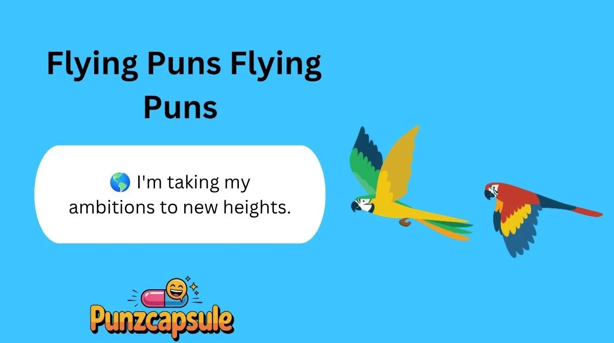 Flying Puns