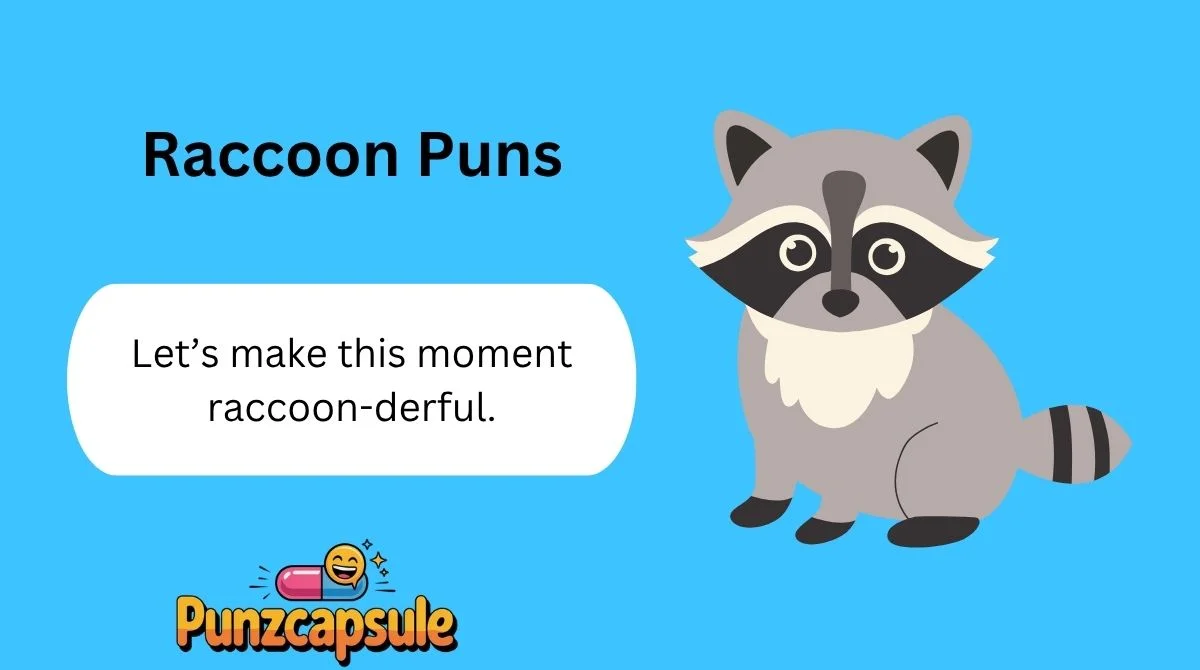 Raccoon Puns