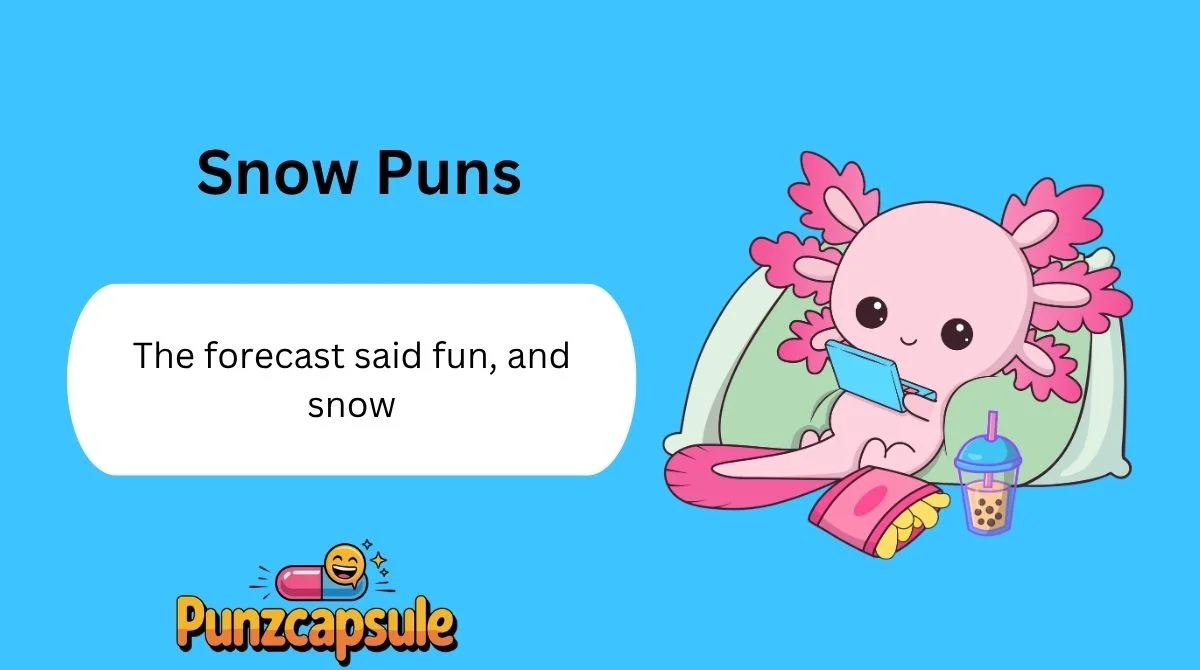 Snow Puns